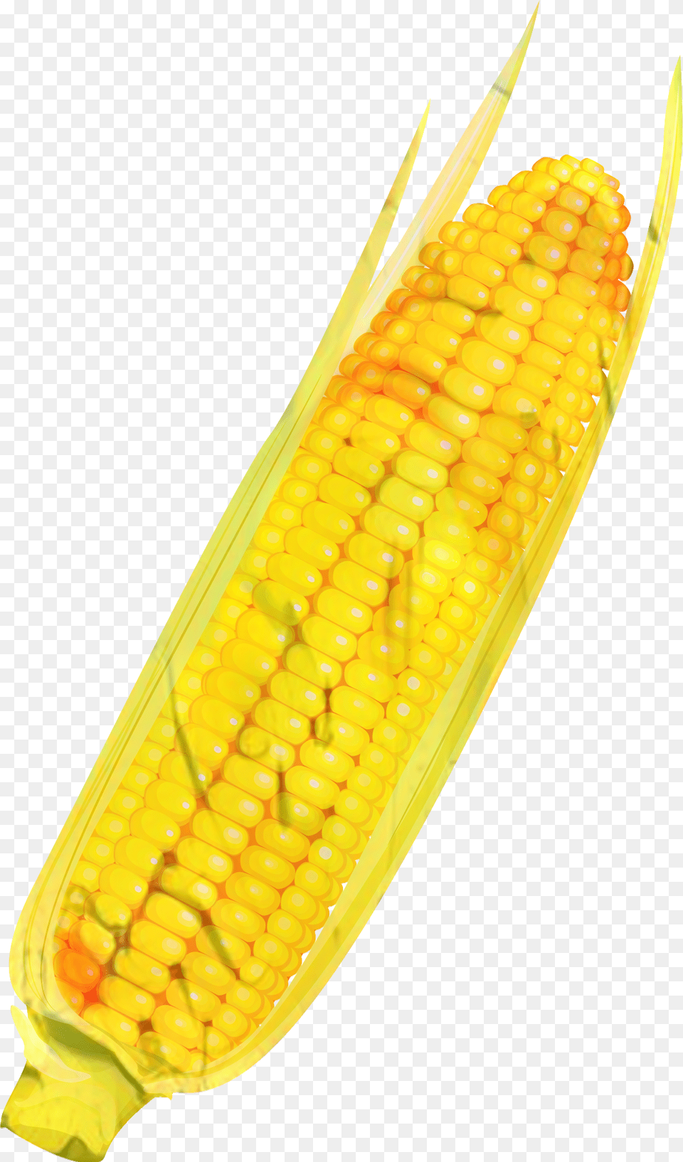 Corn On The Cob Commodity Corn On The Cob, Food, Grain, Plant, Produce Free Transparent Png
