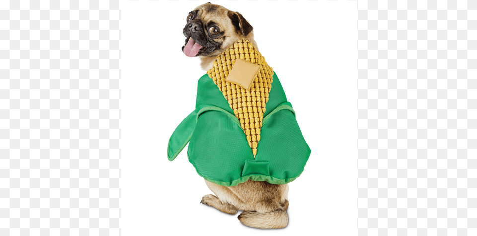 Corn On The Cob From 13 Corn Cob Dog Costume, Animal, Canine, Mammal, Pet Png Image