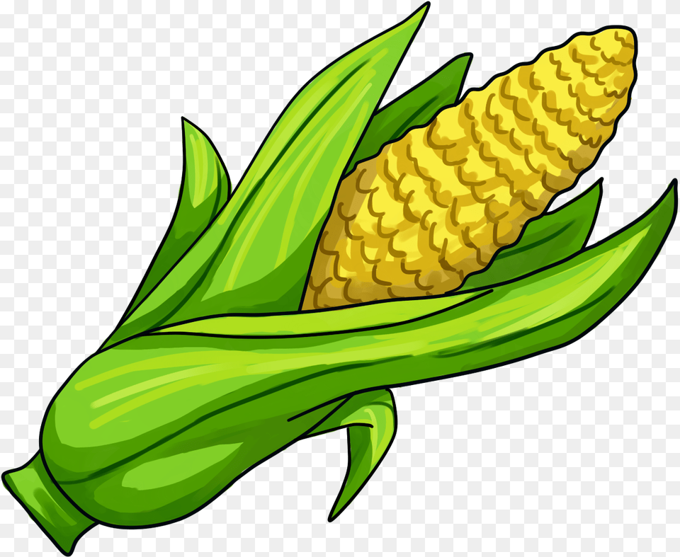 Corn On The Cob Maize Clip Art, Food, Grain, Plant, Produce Png Image