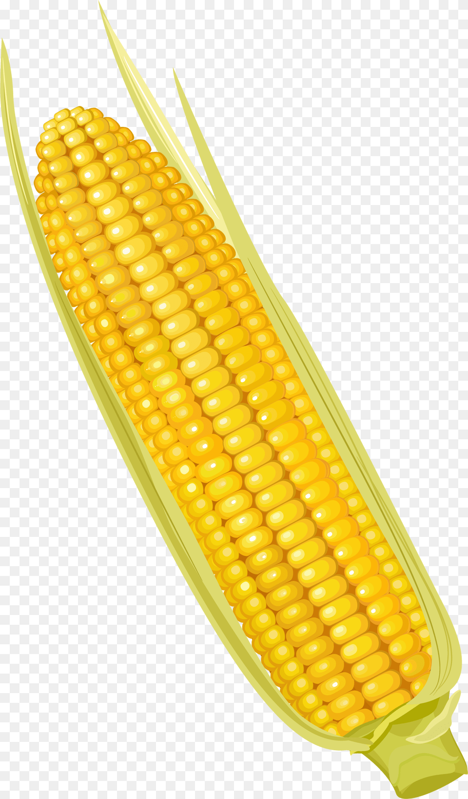 Corn On The Cob Maize Corncob Vegetable Yellow Corn Clipart, Food, Grain, Plant, Produce Free Transparent Png