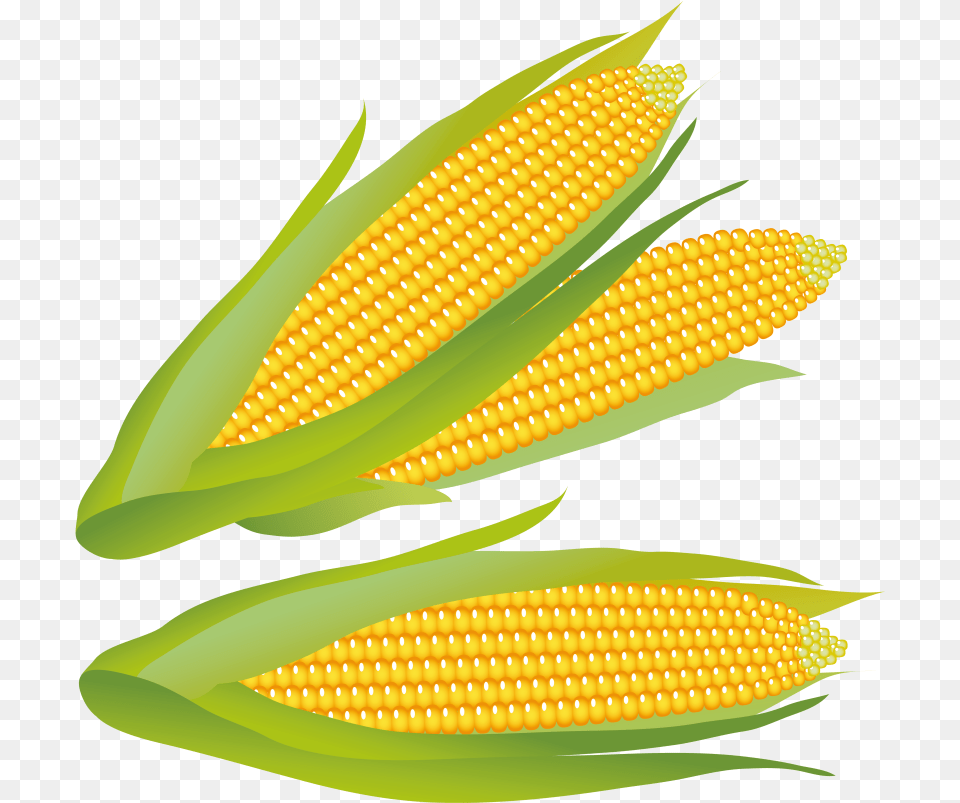 Corn On The Cobcorncorn Kernelsyellowsweet Cornvegetarian Bullring Shopping Center, Food, Grain, Plant, Produce Free Png Download