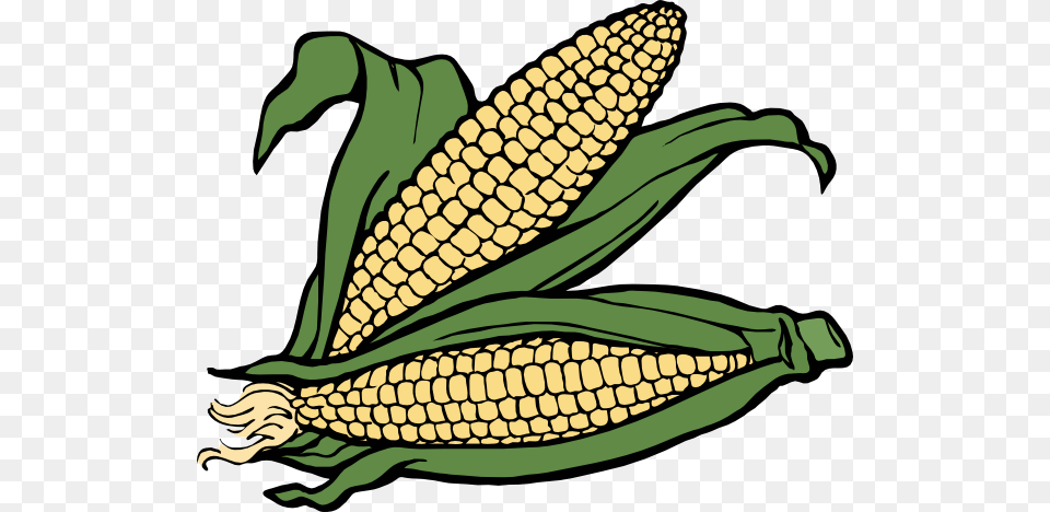 Corn Outline Clipart, Food, Grain, Plant, Produce Free Png