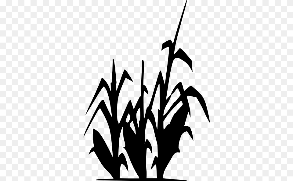 Corn Plant Clip Art, Silhouette, Stencil, Leaf Png Image