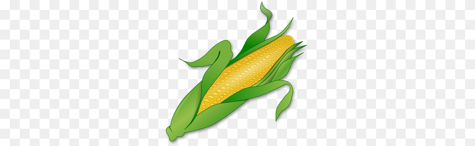 Corn Roast Clip Art, Food, Grain, Plant, Produce Free Transparent Png