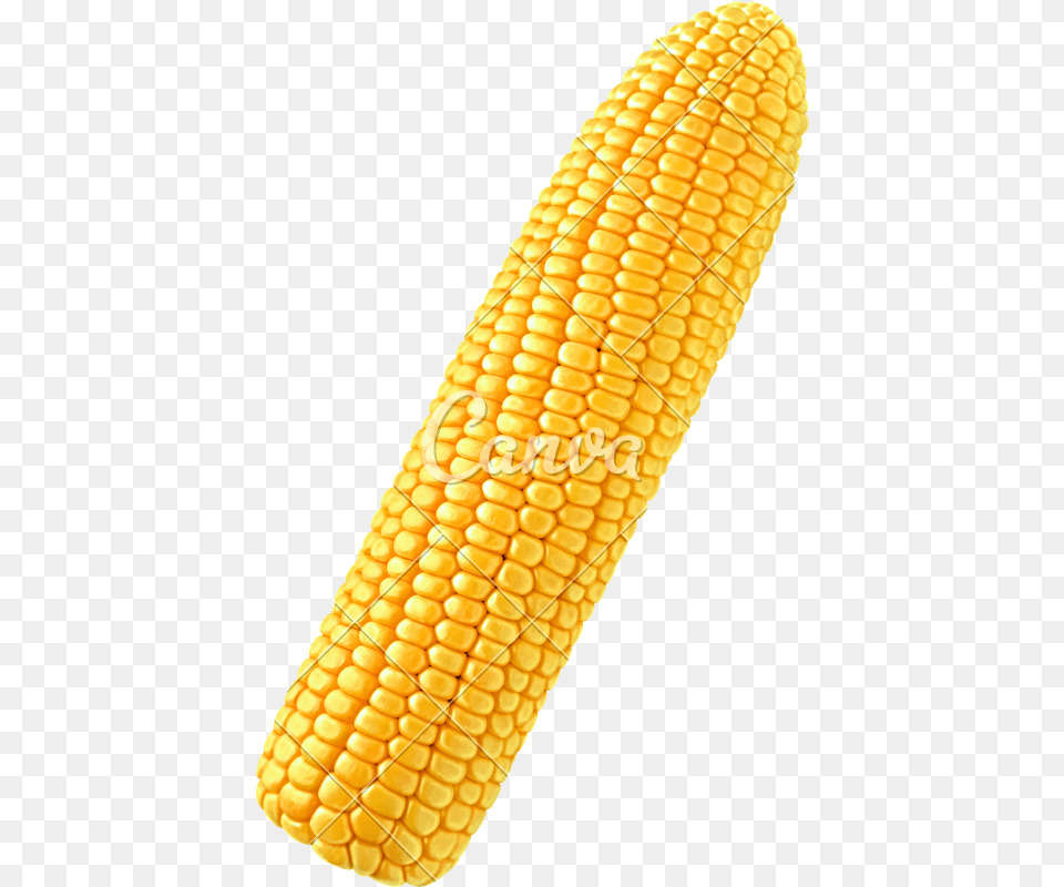 Corn Single Single Corn On The Cob, Food, Grain, Plant, Produce Free Png