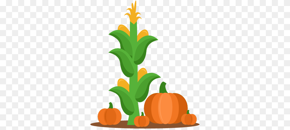 Corn Stalk Bundle Transparent Corn Stalk Bundle Images, Food, Plant, Produce, Pumpkin Free Png Download