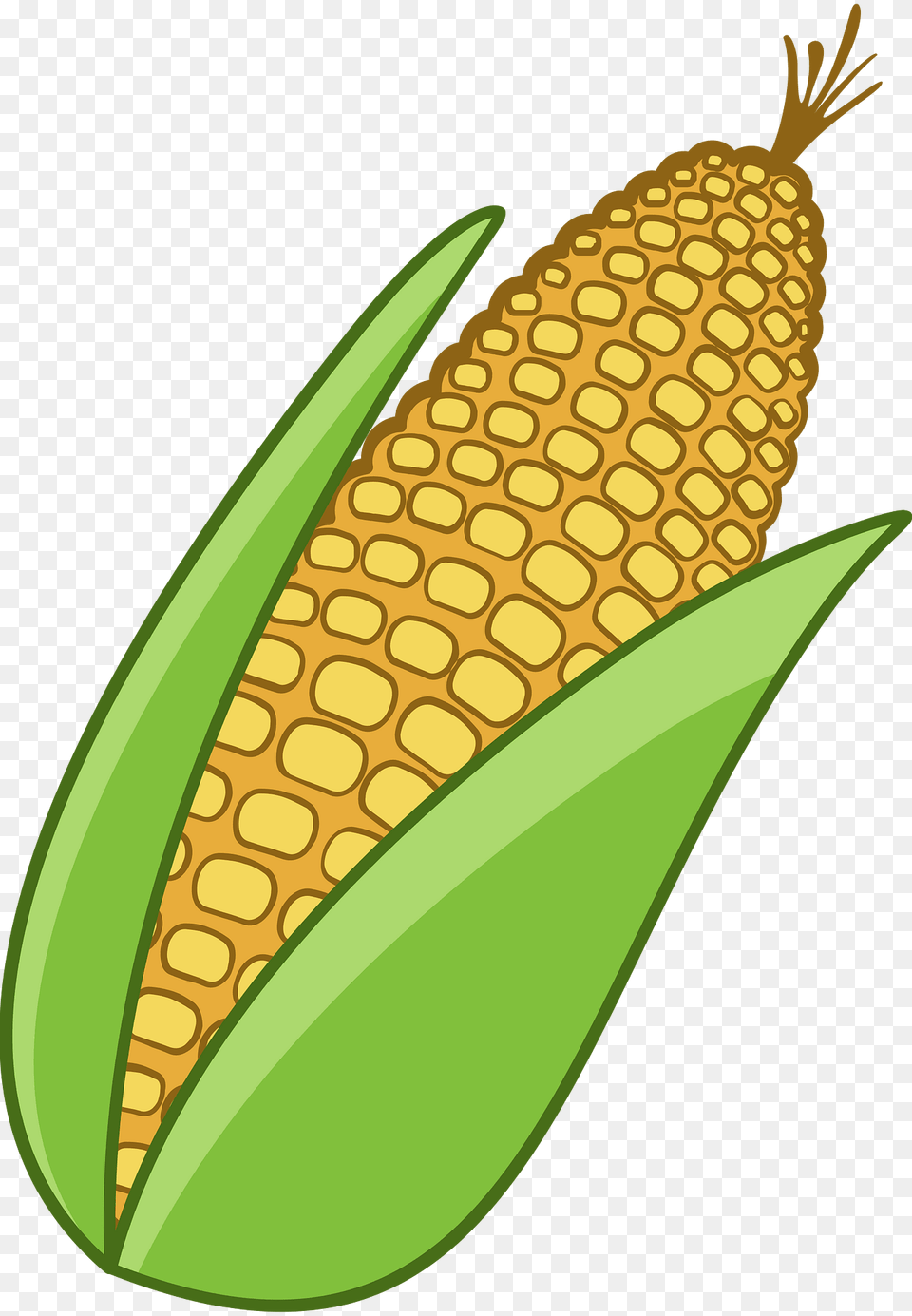 Corn Stalk Clipart, Food, Grain, Plant, Produce Free Png