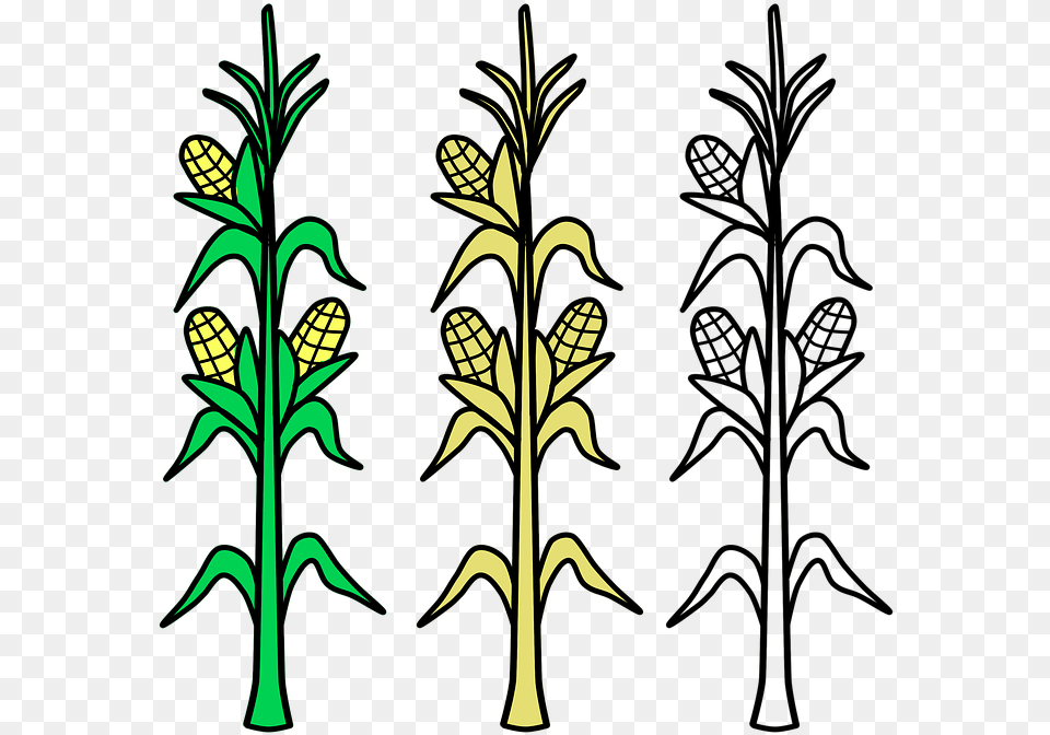 Corn Stalk Clipart Black And White, Food, Fruit, Pineapple, Plant Png