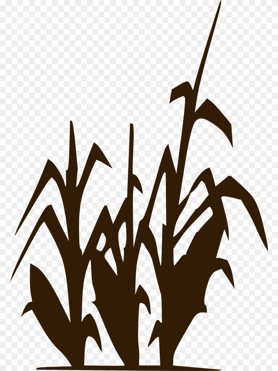 Corn Stalk Clipart Black And White, Leaf, Plant, Art, Grass Free Png Download