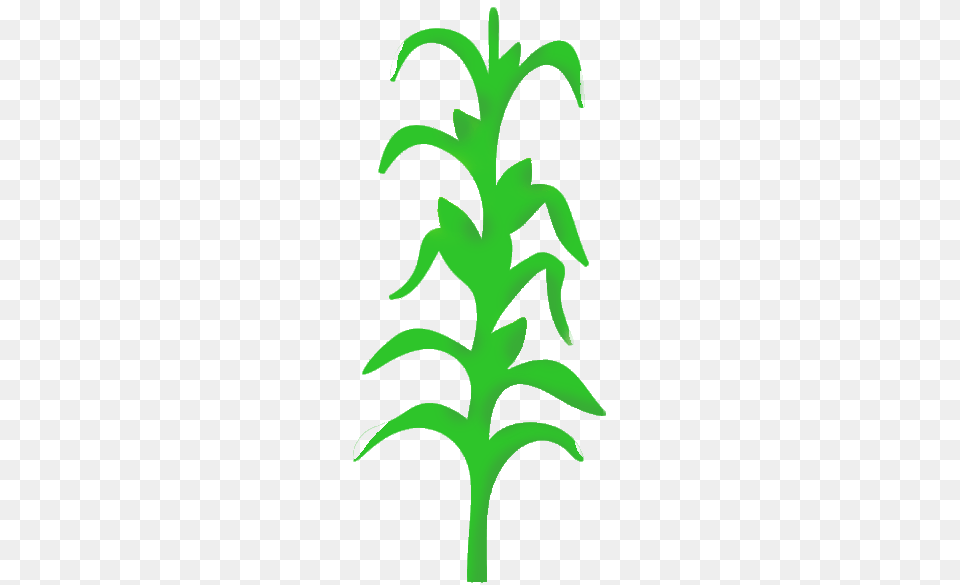 Corn Stalk Images Clip Art, Green, Herbal, Herbs, Leaf Free Png