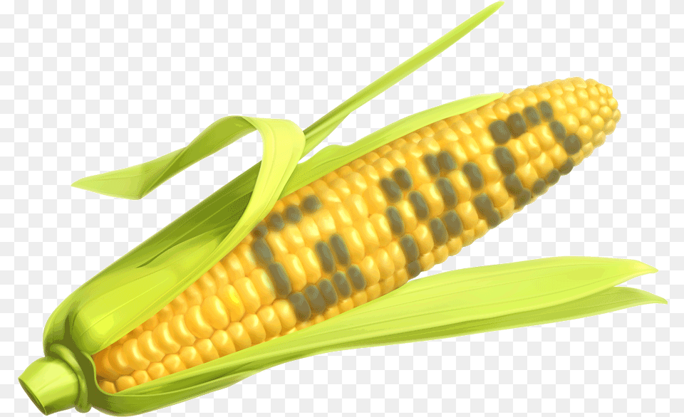Corn The Says Gmo, Food, Grain, Plant, Produce Free Png Download