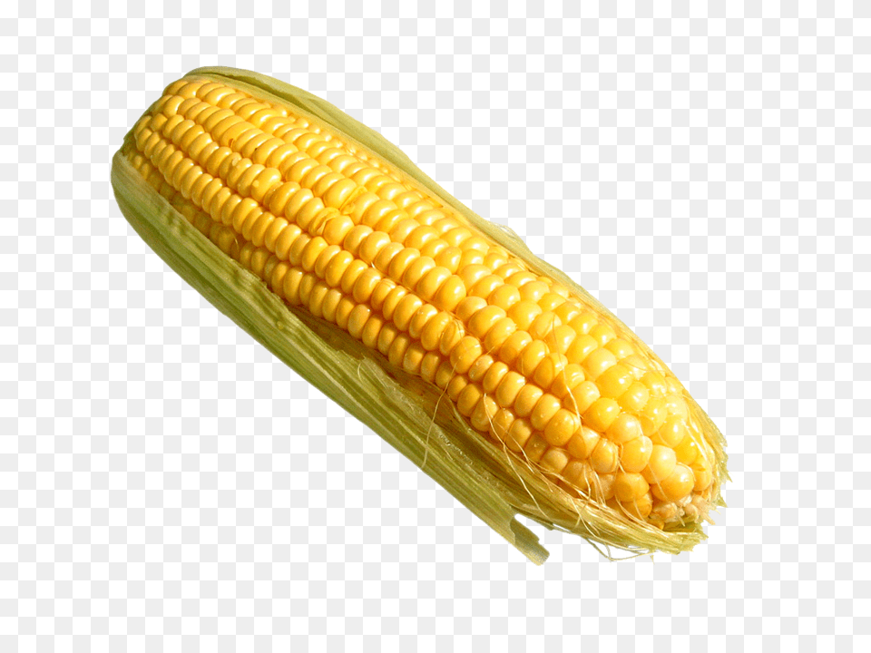 Corn Things That Are Yellow, Food, Grain, Plant, Produce Free Png Download