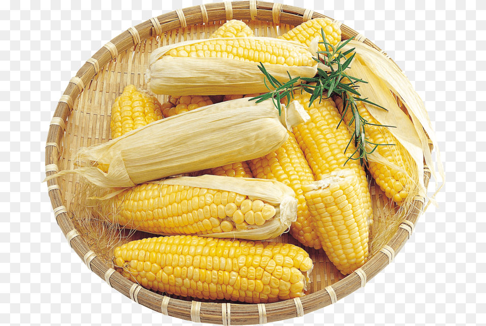 Corn Transparent Background Corns, Food, Grain, Plant, Produce Free Png