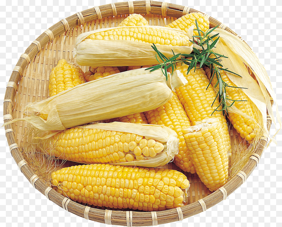 Corn Transparent Background Corns, Food, Grain, Plant, Produce Png