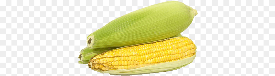 Corn Transparent Free Download Background, Food, Grain, Plant, Produce Png