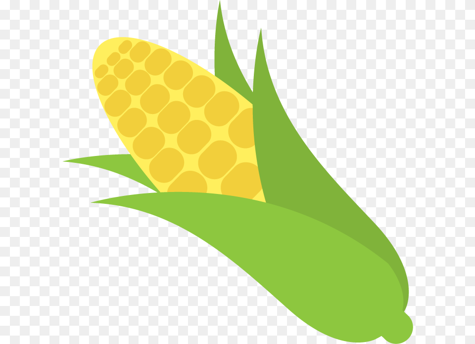 Corn Transparent Free Only, Food, Grain, Plant, Produce Png Image