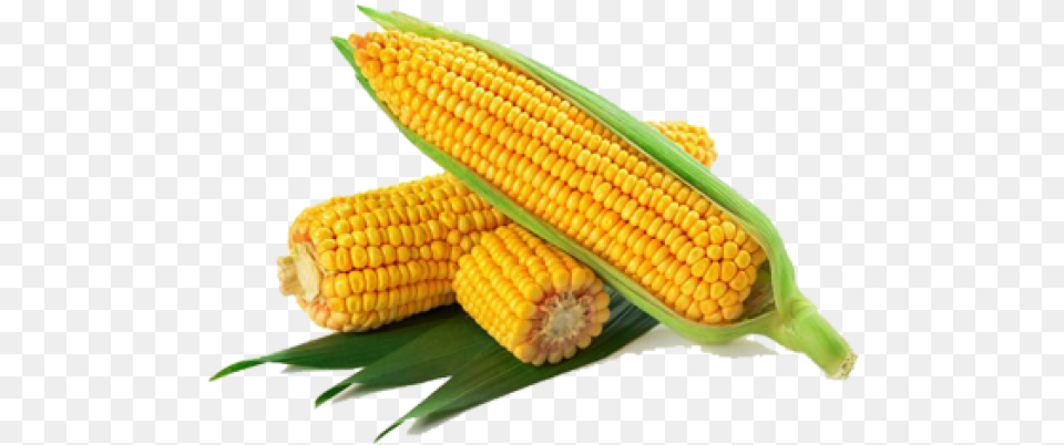 Corn Transparent Images Yellow Corn, Food, Grain, Plant, Produce Png Image