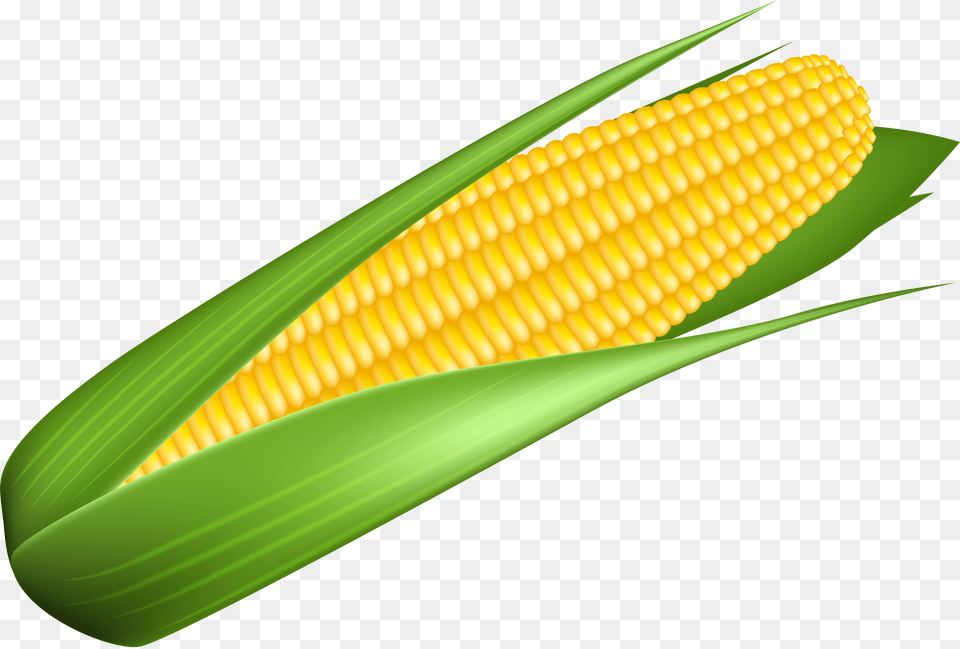 Corn Transparent Transparent Background Corn Clipart Free Png Download