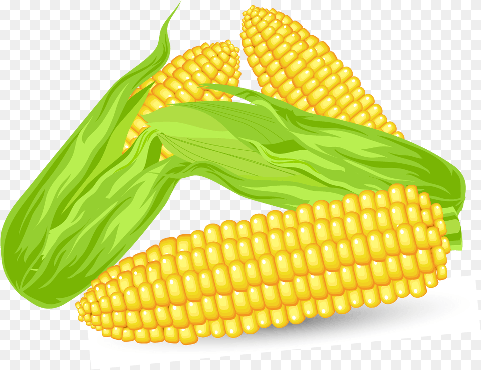 Corn Vector, Food, Grain, Plant, Produce Free Png Download