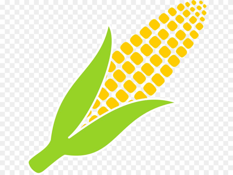 Corn Yellow Food Agriculture Vegetables Harvest Corn Vector Black And White, Grain, Plant, Produce Free Transparent Png