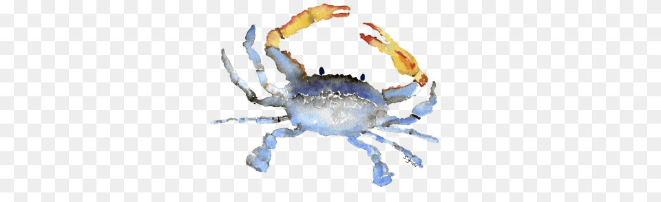 Cornelius The Crab Watercolor Watercolor Crab Transparent Background, Animal, Food, Invertebrate, Sea Life Free Png
