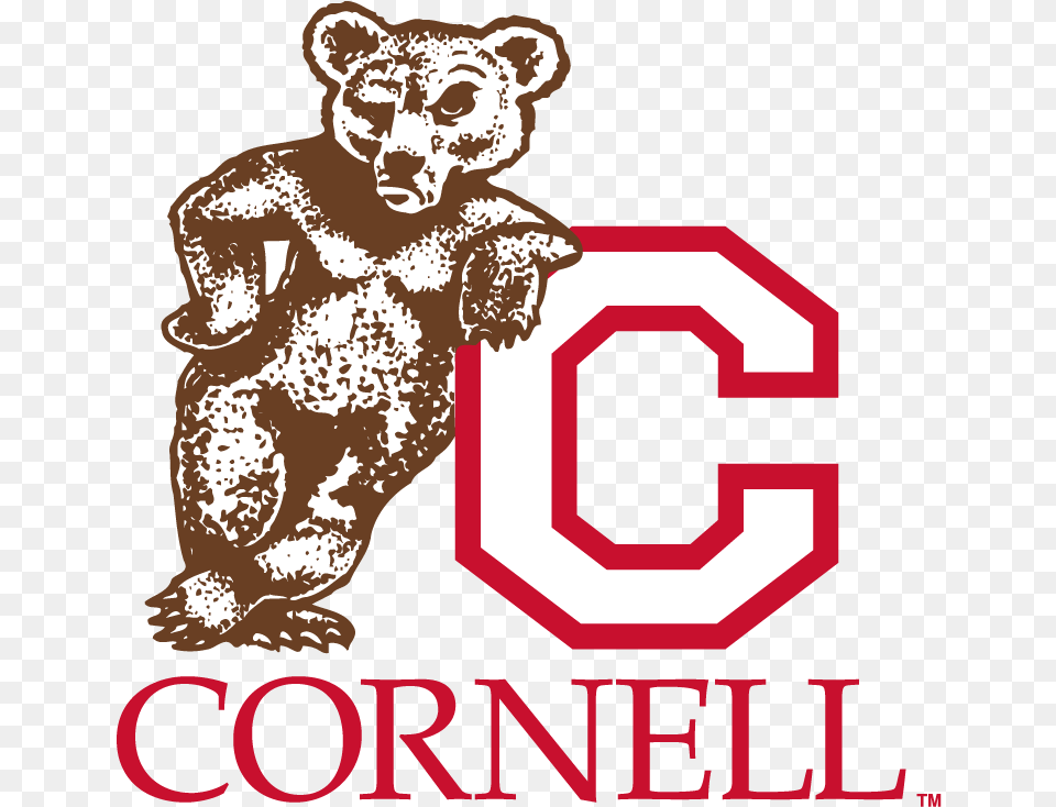 Cornell Bear Logo Logodix Old Cornell University Logo, Animal, Mammal, Wildlife, Ape Png Image