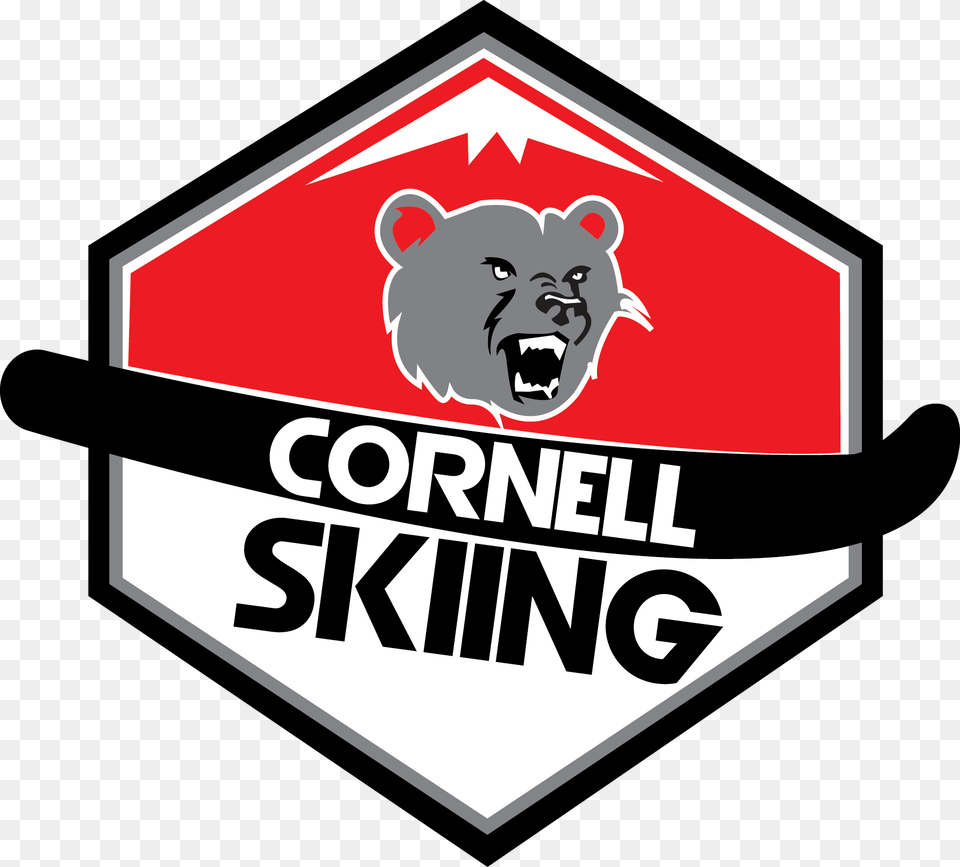 Cornell Ski Team Cornell University, Symbol, Animal, Bear, Mammal Png