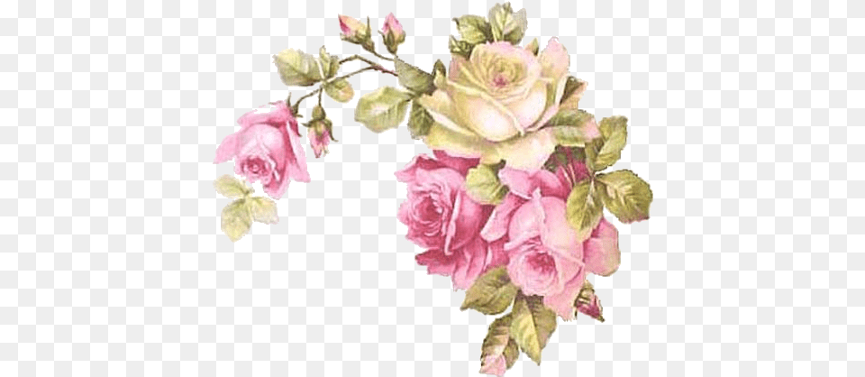 Corner Flowers Rose Pink Cream Vintage Corner Pink Rose Vintage, Art, Plant, Pattern, Graphics Free Png