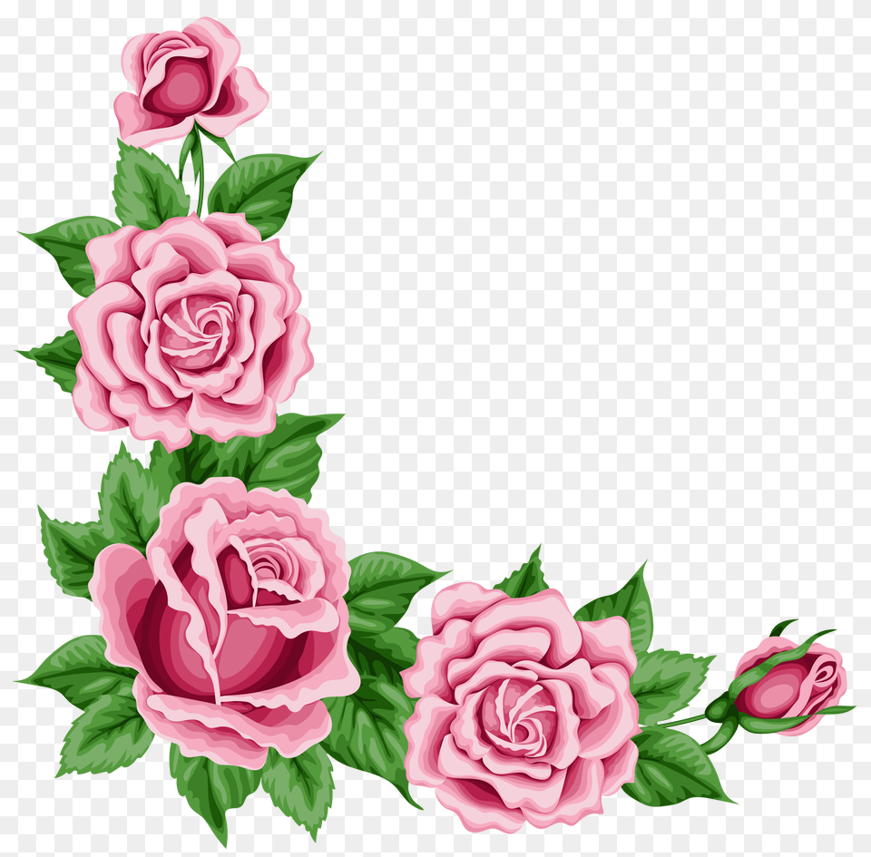 Corner Rose Clipart, Flower, Plant, Pattern Png Image