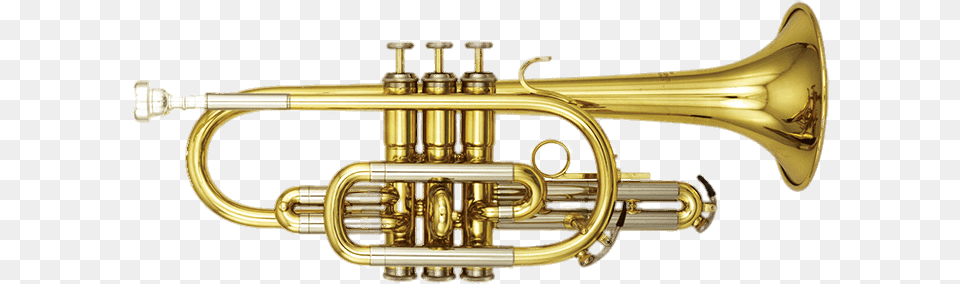 Cornet, Brass Section, Flugelhorn, Horn, Musical Instrument Free Png