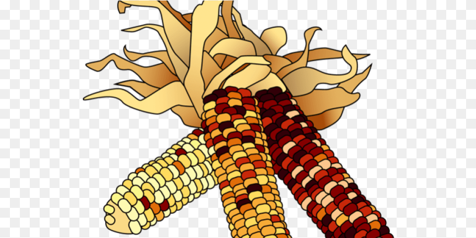 Cornfield Clipart Thanksgiving Indian Corn Clip Art, Food, Grain, Plant, Produce Free Png Download