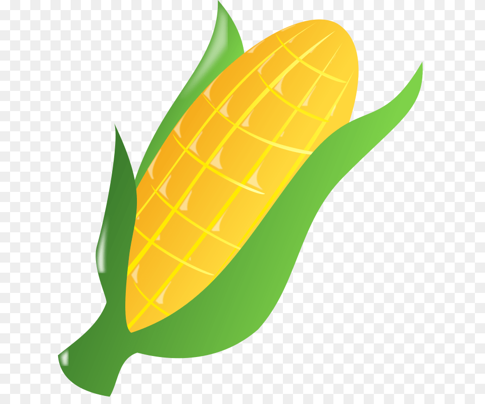 Cornns, Corn, Food, Grain, Plant Png Image