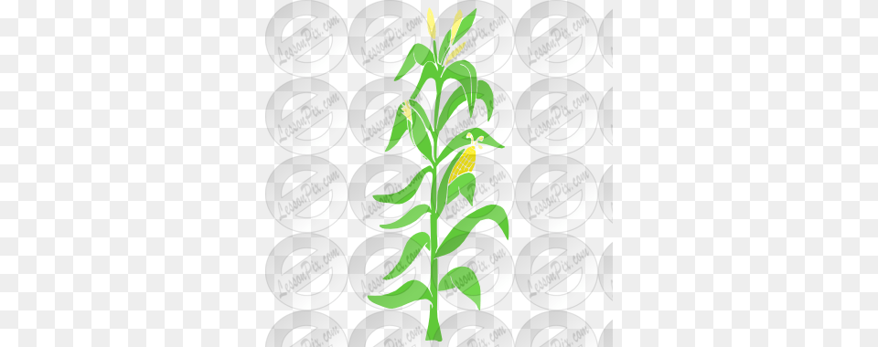 Cornstalk Stencil For Classroom Therapy Clipart Corn Stalk, Leaf, Plant, Vegetation, Herbal Free Transparent Png