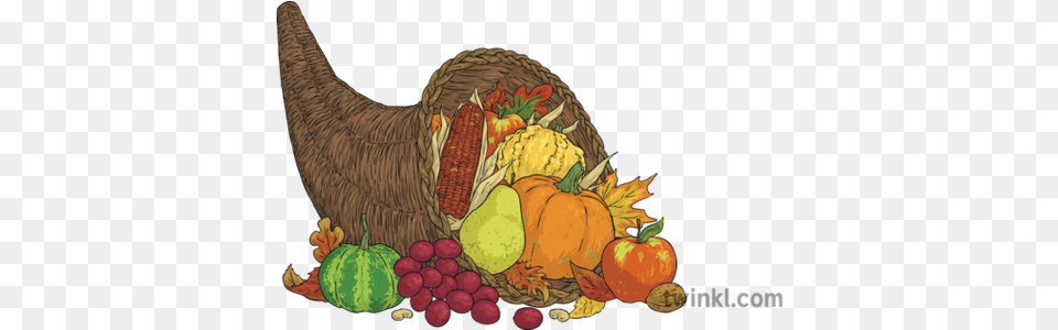 Cornucopia Autumn Harvest Horn Of Plenty Thanksgiving Fruit Illustration, Produce, Food, Plant, Countryside Free Png