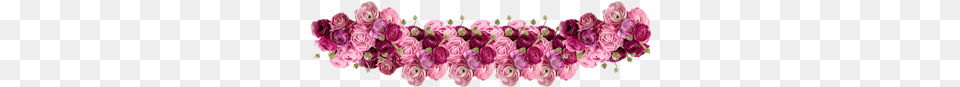 Coroa De Flores, Rose, Plant, Pattern, Graphics Png Image