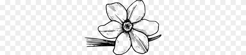 Corolla Clip Art Vector, Anemone, Flower, Plant, Drawing Free Png Download