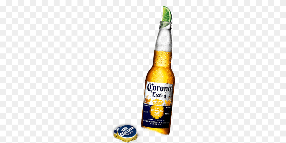 Corona Bottle Image, Alcohol, Beer, Beer Bottle, Beverage Png