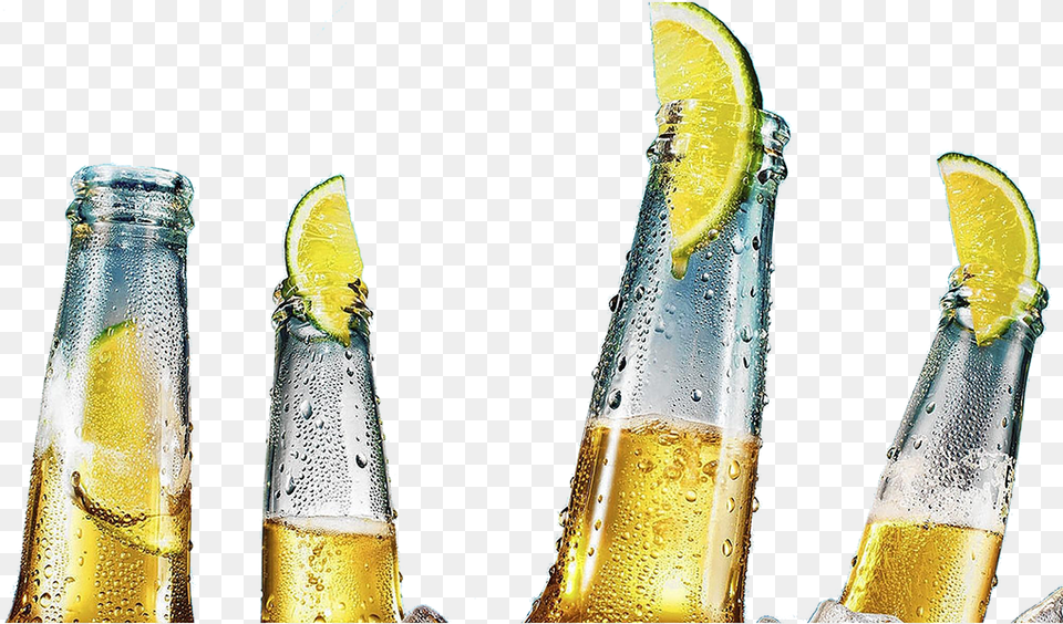 Corona Extra Bottle Corona Beer Img Transparent, Alcohol, Beverage, Glass, Plant Free Png Download