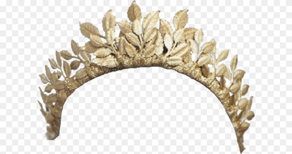 Corona Princess Princesa Reina, Accessories, Jewelry, Tiara, Plant Png