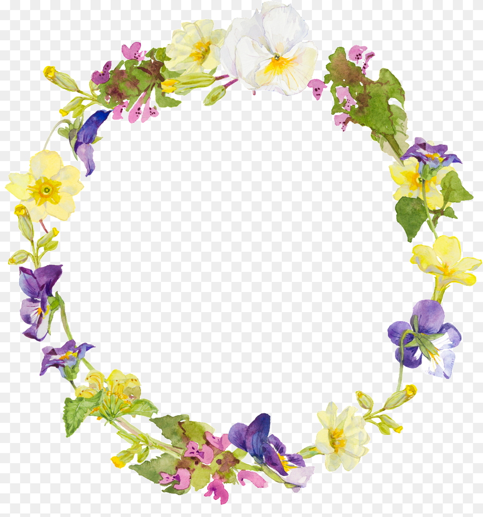 Corona Transparente Color Acuarela Pintada A Mano Vector Graphics, Flower, Flower Arrangement, Plant, Petal Png Image