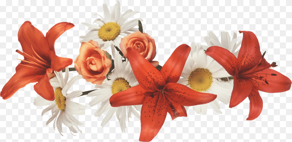 Coronas De Flores, Flower, Flower Arrangement, Flower Bouquet, Petal Free Png Download