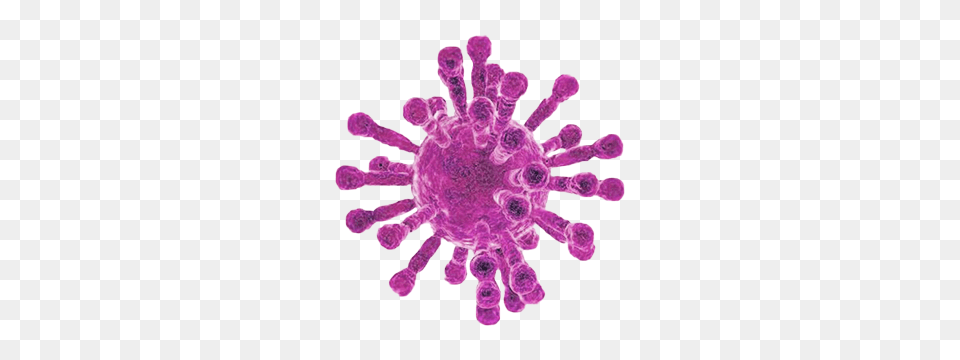 Coronavirus, Purple, Chandelier, Lamp, Stain Free Png
