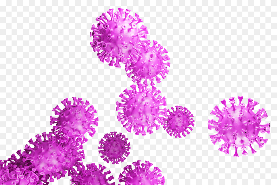 Coronavirus, Accessories, Purple, Crystal, Flower Png