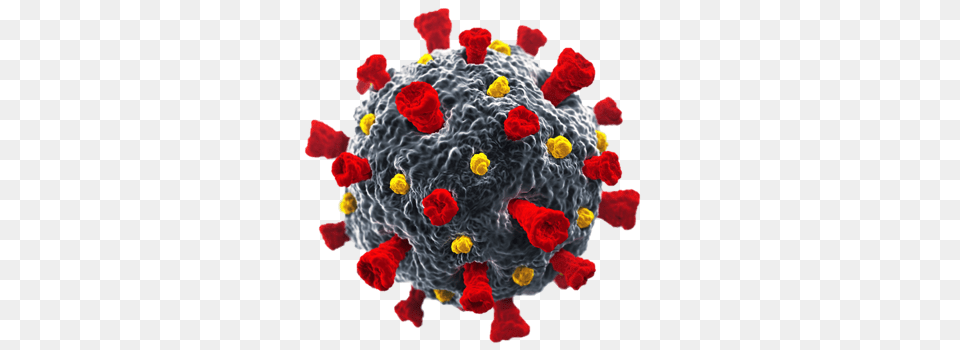 Coronavirus, Pattern, Plant, Pollen, Sphere Free Transparent Png
