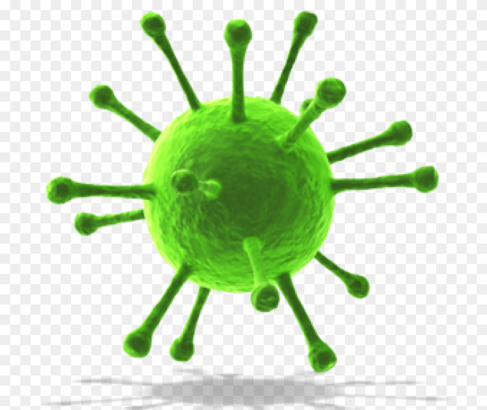 Coronavirus, Green, Animal, Insect, Invertebrate Free Png Download