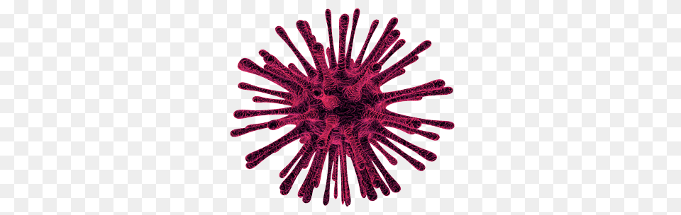 Coronavirus, Maroon, Purple, Pattern, Accessories Free Png