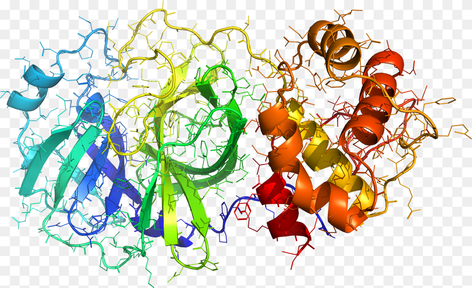 Coronavirus 2019 Ncov2 Png Image