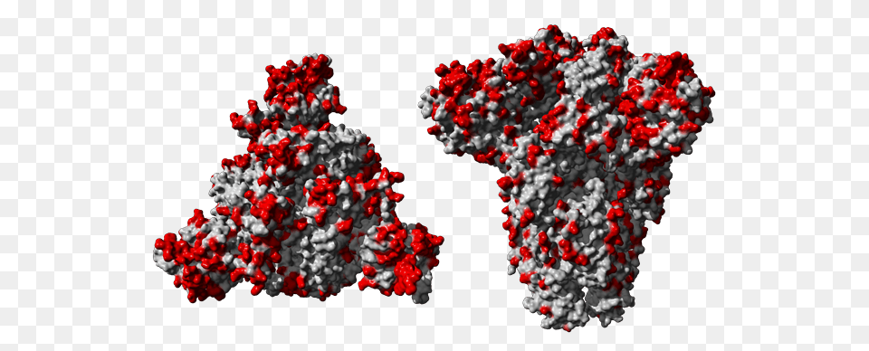 Coronavirus Stacking Up, Flower, Plant Free Png