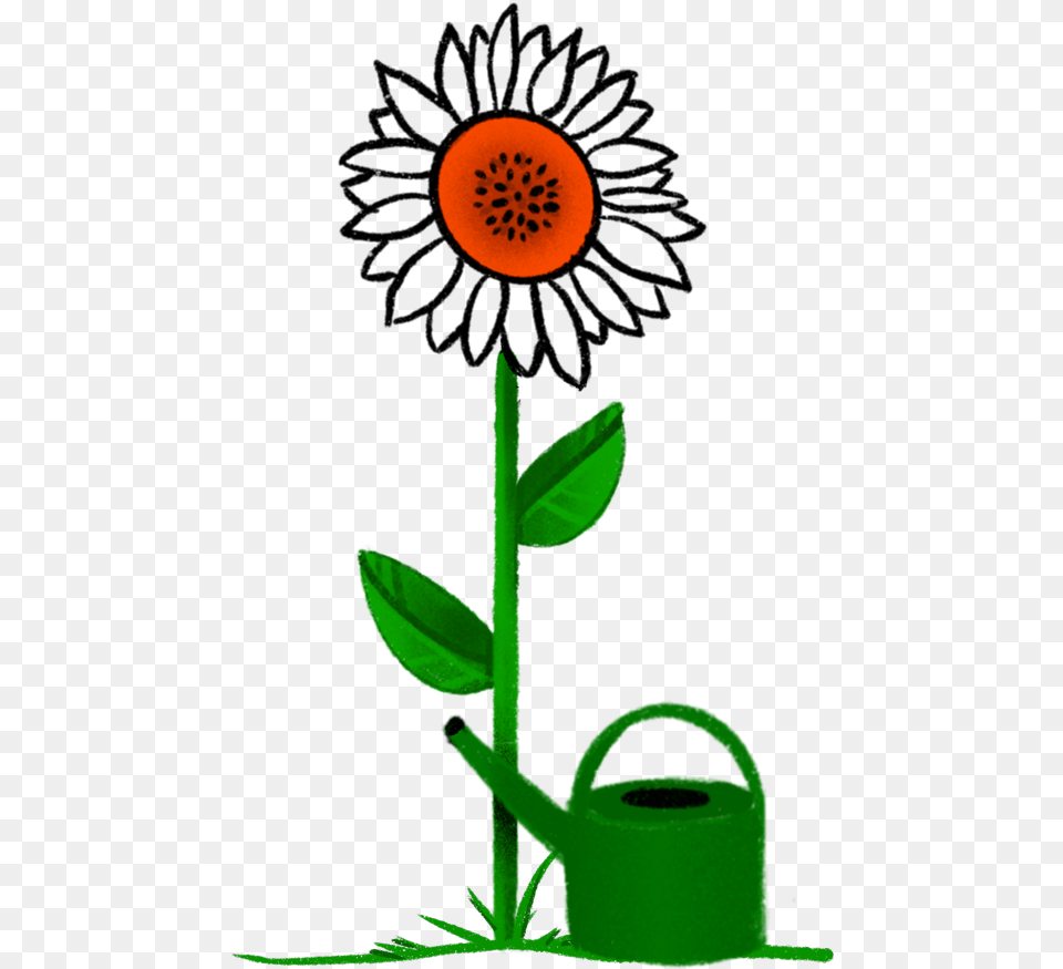 Corporate Gifts Clouberry Sunflower, Flower, Plant, Tin, Can Free Png Download