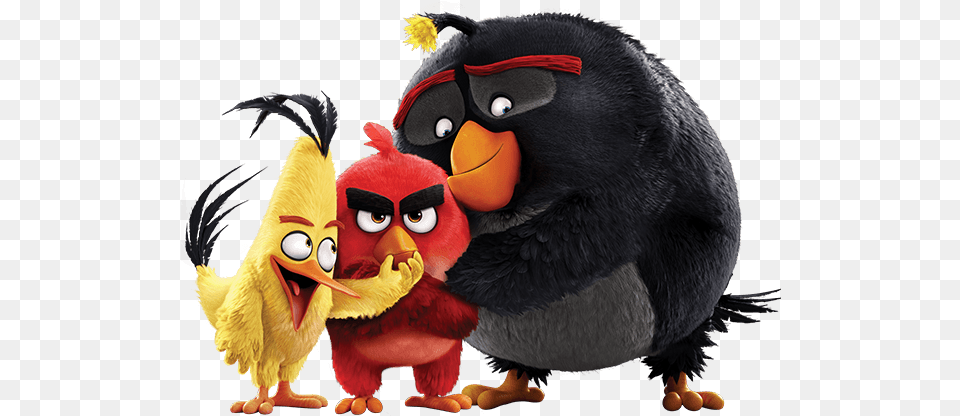 Corporate Social Responsibility Transparent Angry Birds Movie, Animal, Bird Png